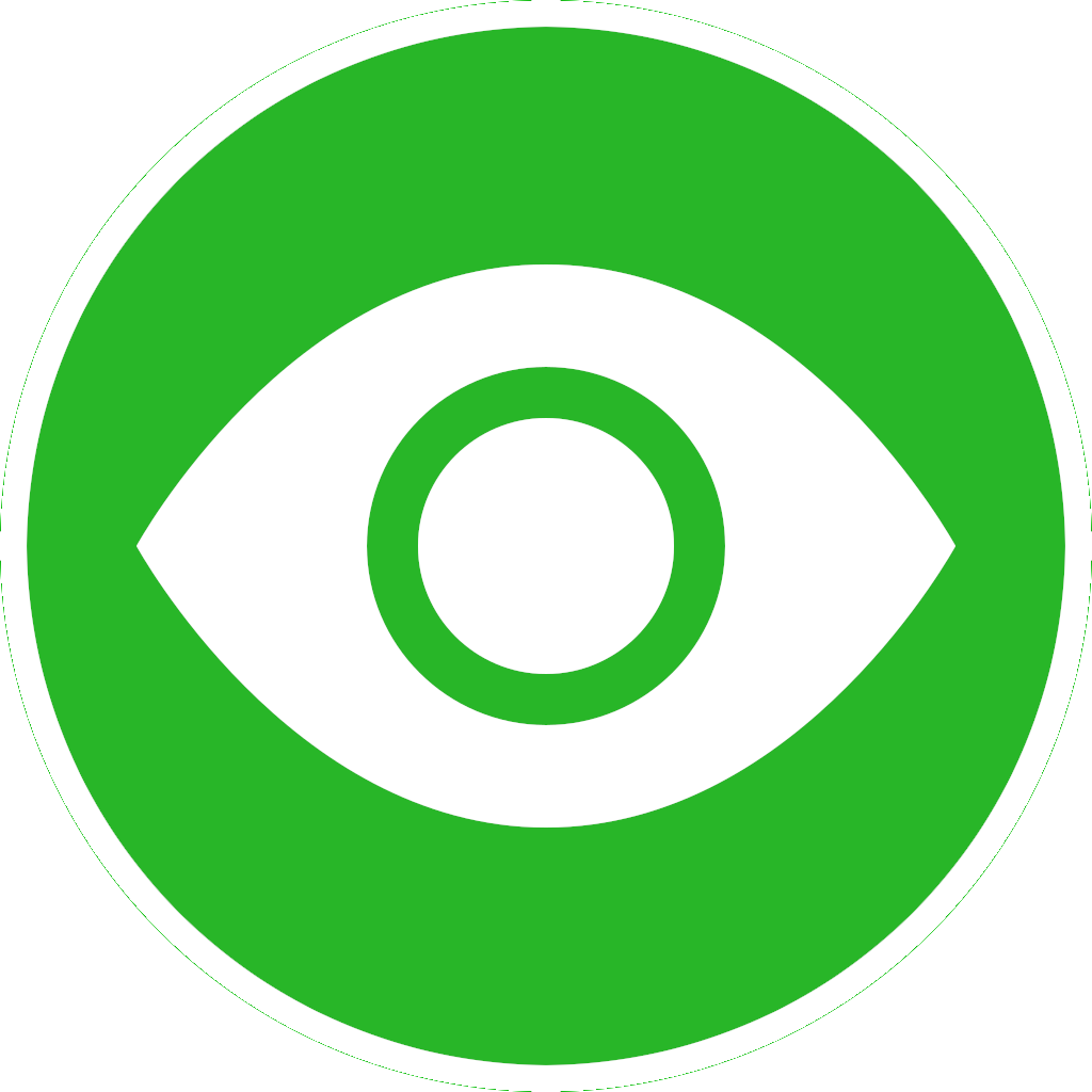 PlayLook Logo